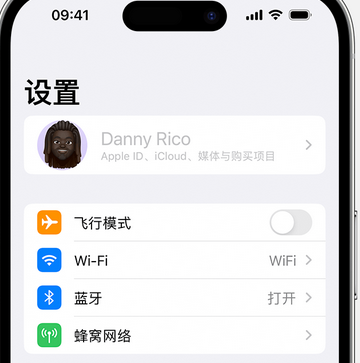 蒋湖农场appleID维修服务iPhone设置中Apple ID显示为灰色无法使用 