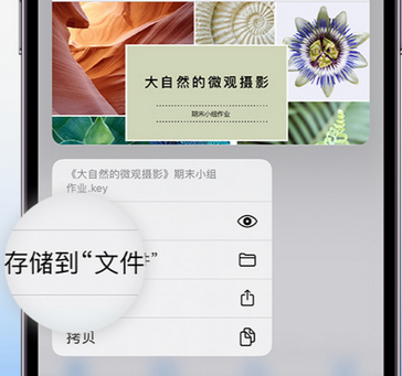 蒋湖农场apple维修中心分享iPhone文件应用中存储和找到下载文件