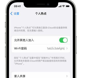 蒋湖农场apple服务站点分享iPhone上个人热点丢失了怎么办 