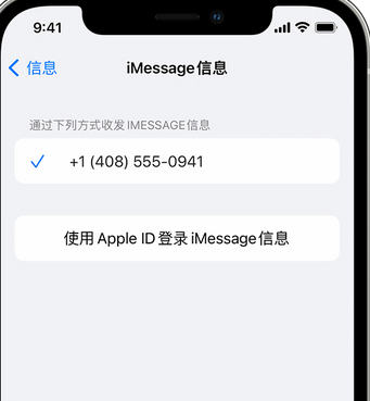 蒋湖农场apple维修iPhone上无法正常发送iMessage信息 