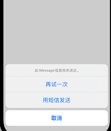 蒋湖农场apple维修iPhone上无法正常发送iMessage信息