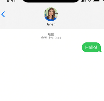 蒋湖农场apple维修iPhone上无法正常发送iMessage信息