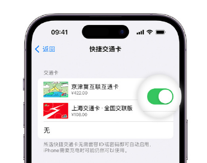 蒋湖农场apple维修点分享iPhone上更换Apple Pay快捷交通卡手绘卡面 