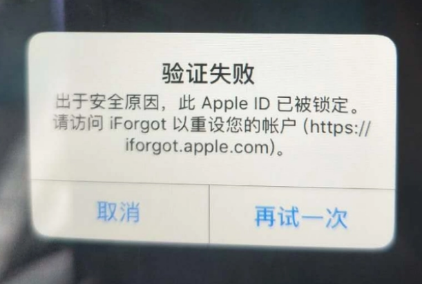 蒋湖农场iPhone维修分享iPhone上正常登录或使用AppleID怎么办 