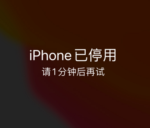 蒋湖农场苹果手机维修分享:iPhone 显示“不可用”或“已停用”怎么办？还能保留数据吗？ 