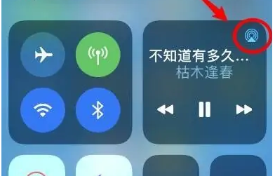 蒋湖农场苹果14维修分享iPhone14连接两副耳机听歌方法教程 