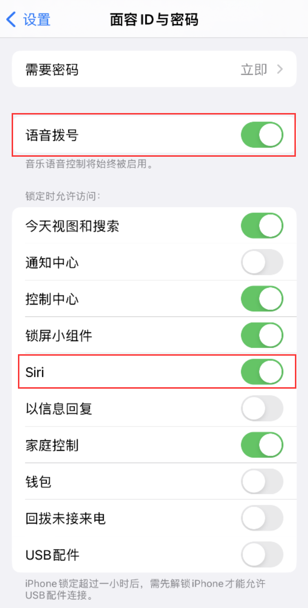 蒋湖农场苹果维修网点分享不解锁 iPhone 的情况下通过 Siri 拨打电话的方法 