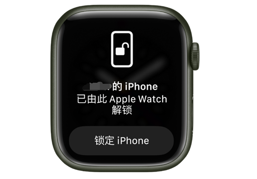 蒋湖农场苹果手机维修分享用 AppleWatch 解锁配备面容 ID 的 iPhone方法 