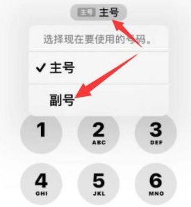 蒋湖农场苹果14维修店分享iPhone 14 Pro Max使用副卡打电话的方法 