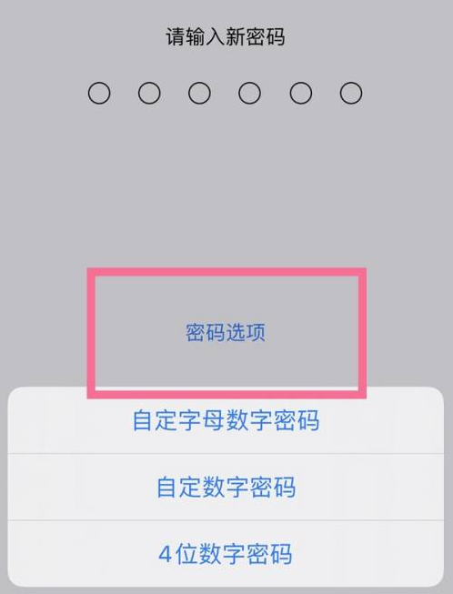 蒋湖农场苹果14维修分享iPhone 14plus设置密码的方法 