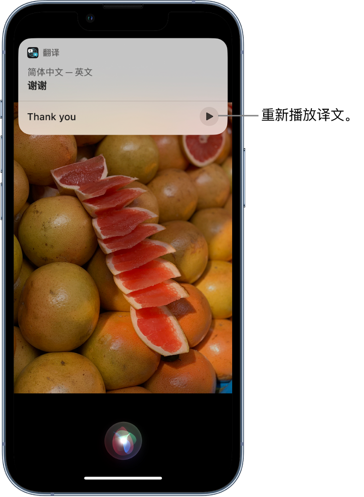 蒋湖农场苹果14维修分享 iPhone 14 机型中使用 Siri：了解 Siri 能帮你做什么 