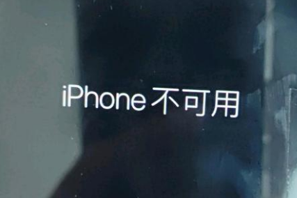 蒋湖农场苹果服务网点分享锁屏界面显示“iPhone 不可用”如何解决 