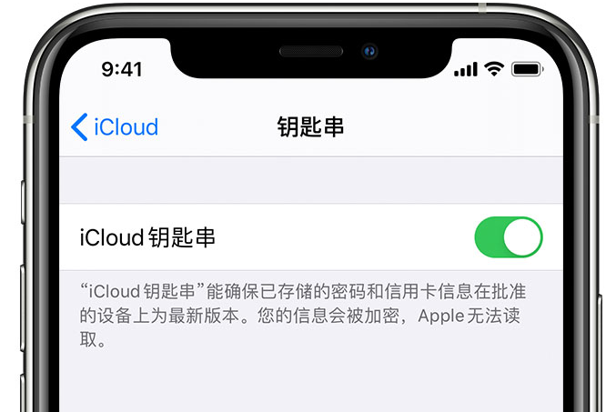 蒋湖农场苹果手机维修分享在 iPhone 上开启 iCloud 钥匙串之后会储存哪些信息 