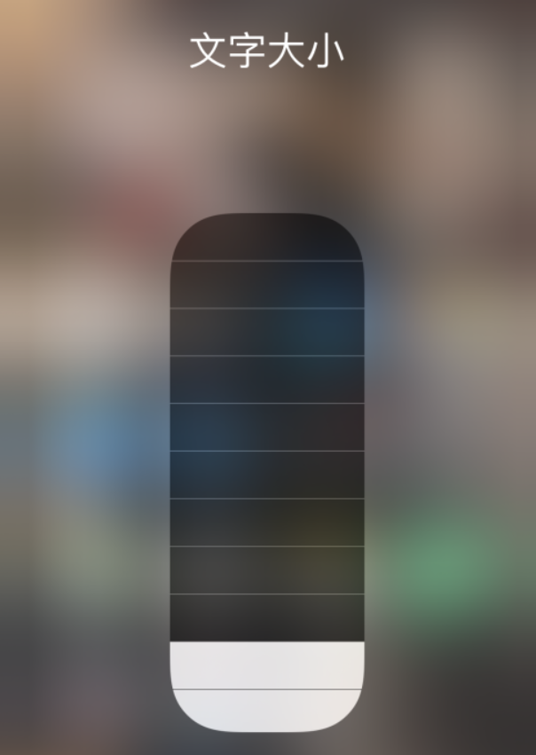 蒋湖农场苹果手机维修分享小技巧：在 iPhone 控制中心快速调节字体大小 