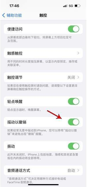 蒋湖农场苹果手机维修分享iPhone手机如何设置摇一摇删除文字 