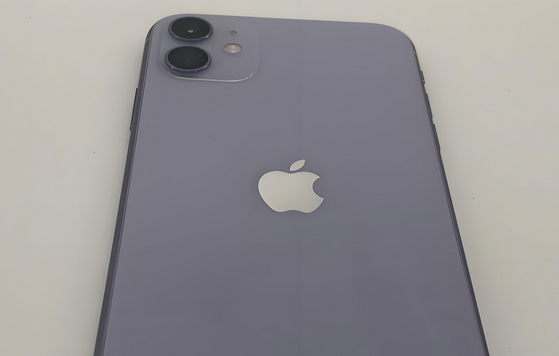 蒋湖农场苹果11系统维修分享iPhone11手机系统崩溃无法开机如何解决