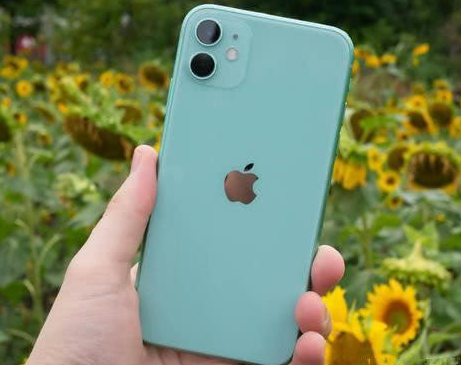 蒋湖农场苹果维修点分享iPhone 11锁屏密码认知与使用科普 
